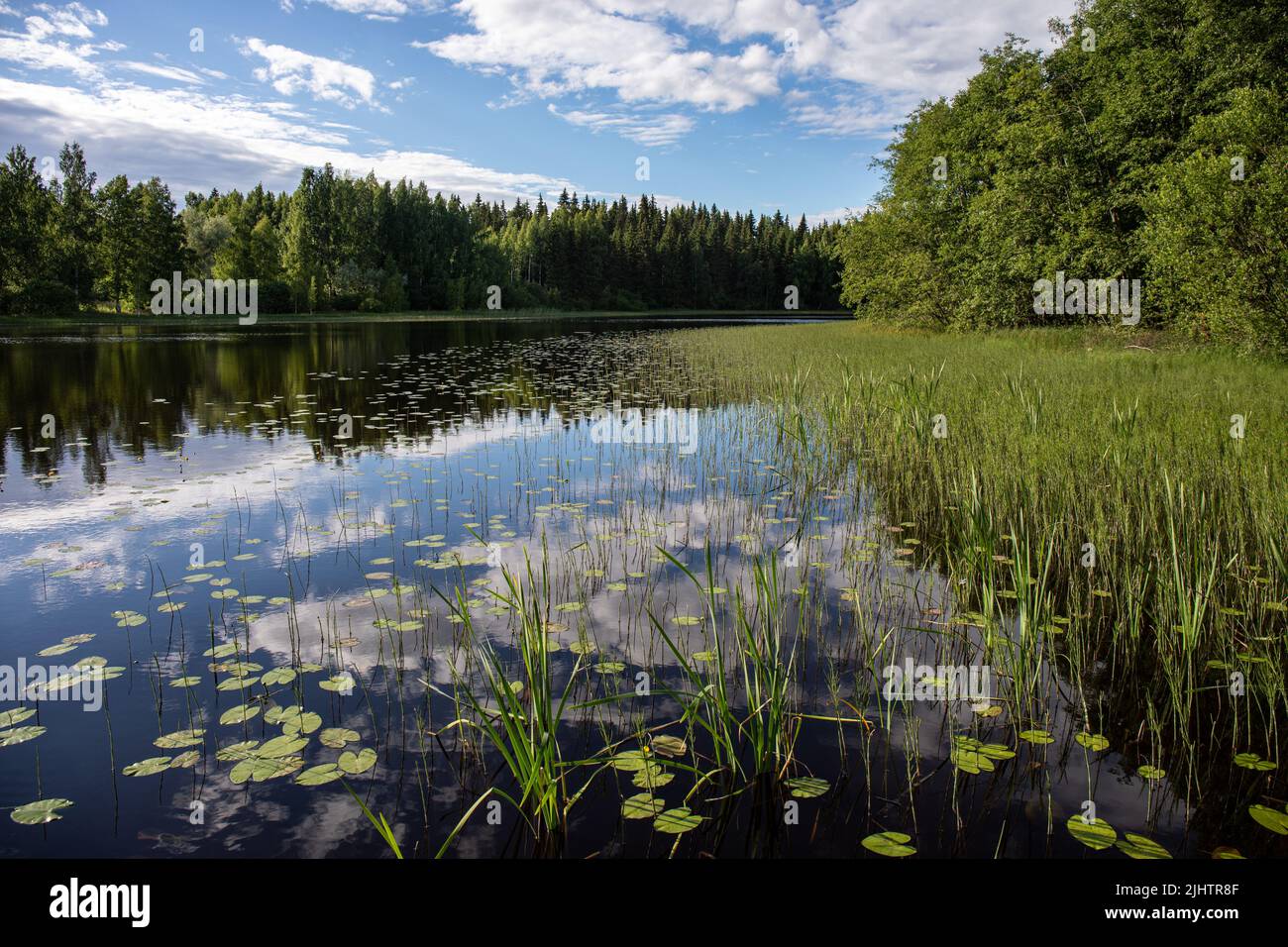 Riflessi del cielo sul lago tranquillo di Orivesi, Finlandia Foto Stock