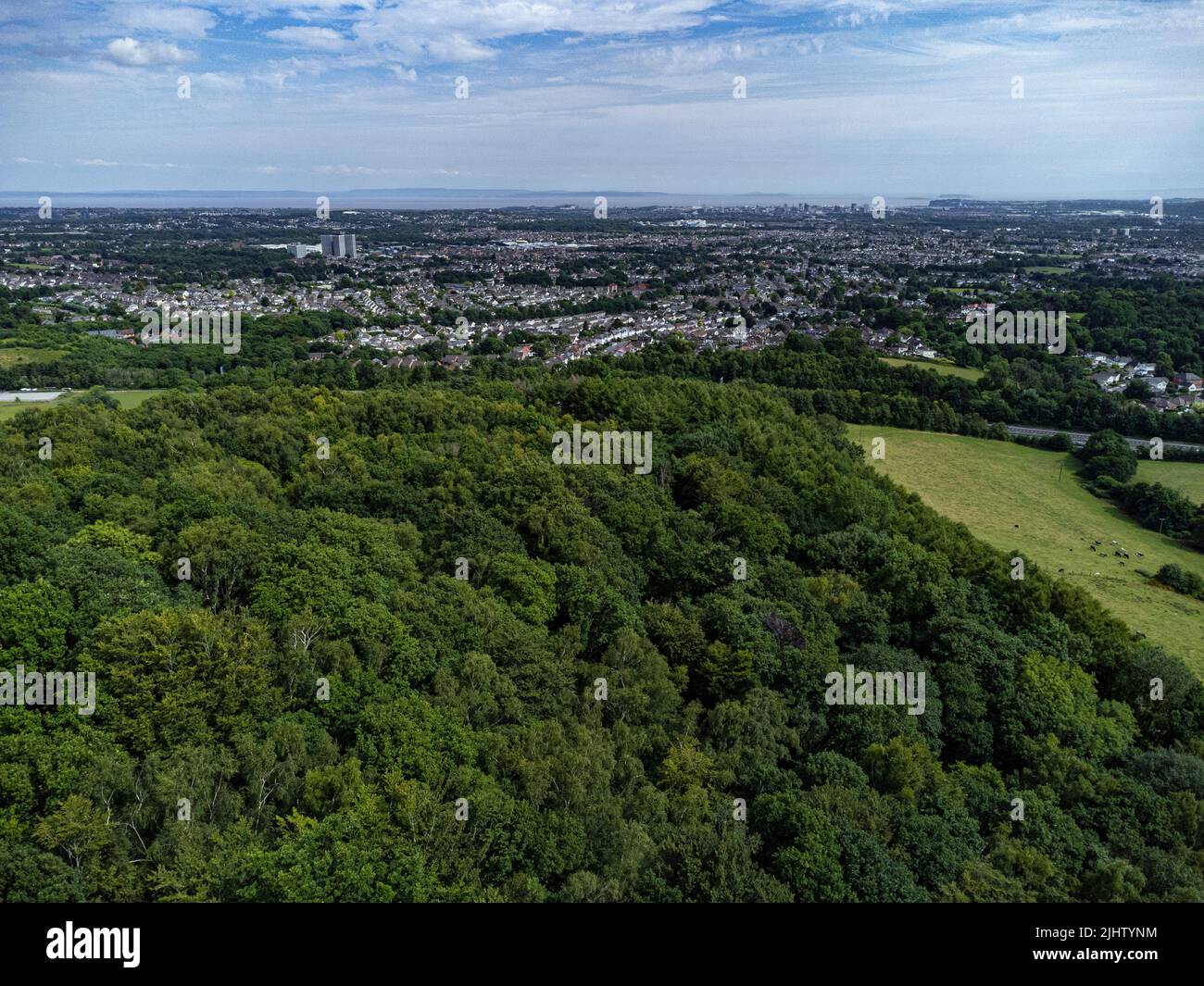 Vista aerea di Cardiff da Coed Y Wenallt Foto Stock