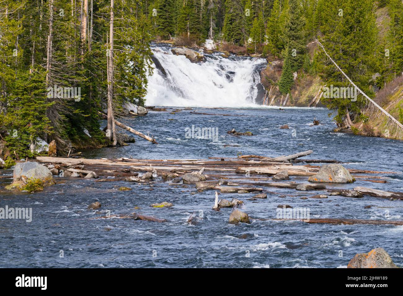 Cascate di Lewis sul fiume Snake nel parco nazionale di Yellowstone, Wyoming Foto Stock