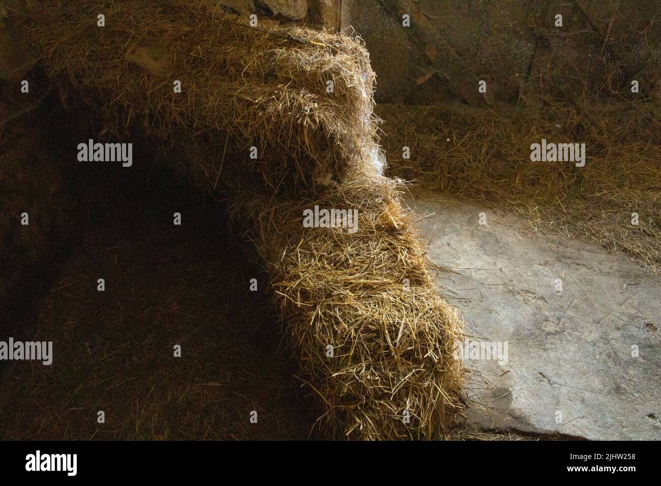 balla di paglia in un blocco che produce allergia a causa dell'umidità e cobwebs prodotti Foto Stock