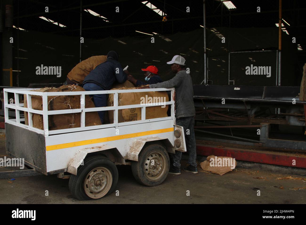 Harare, Zimbabwe. 19th luglio 2022. Gli agricoltori controllano le balle di tabacco nei piani di aste di tabacco di Harare, Zimbabwe, il 19 luglio 2022. La stagione dell'asta del tabacco, iniziata a marzo, si è chiusa mercoledì, con oltre 180 milioni di kg di foglia d'oro venduti ad un prezzo medio di 3,04 dollari per kg. Credit: Tafara Mugwara/Xinhua/Alamy Live News Foto Stock