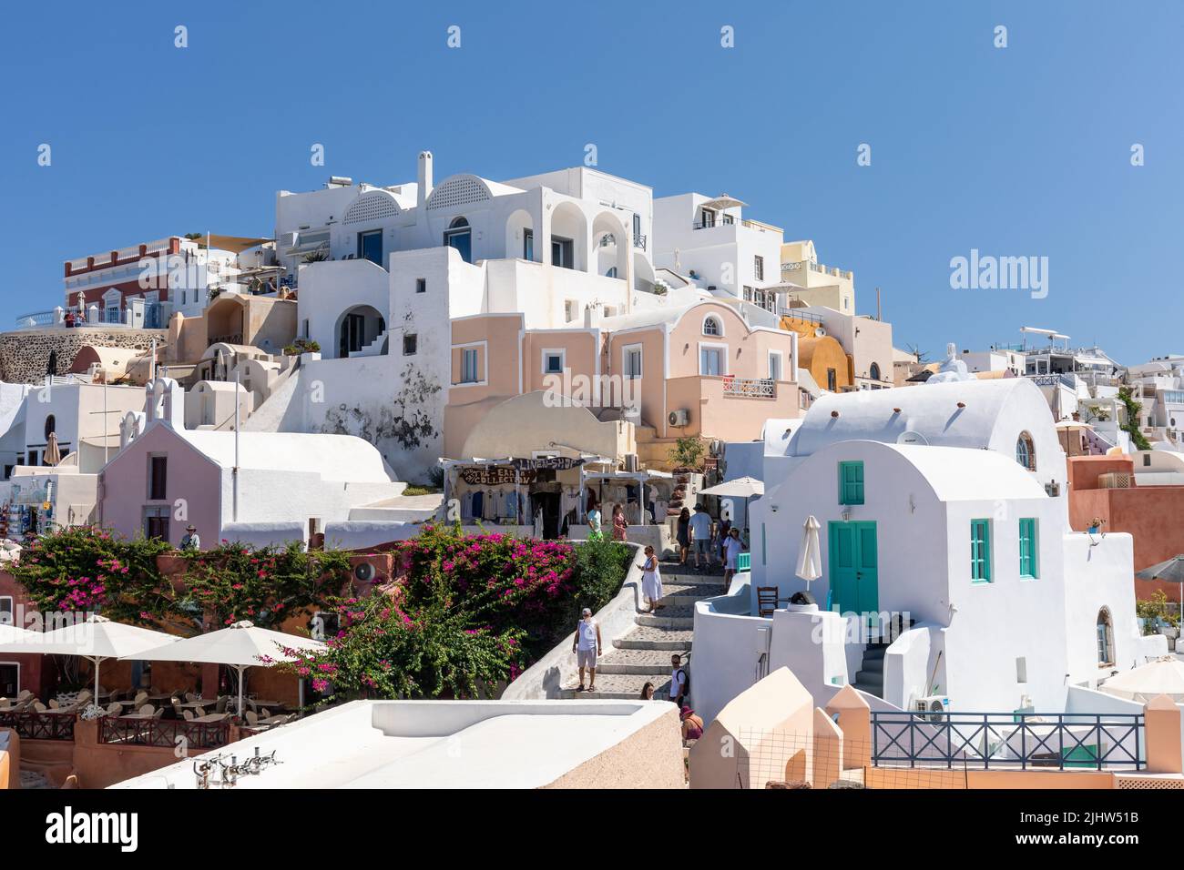 La pittoresca Oia di Santorini con i suoi splendidi edifici bianchi e bougainvillea, Oia, Santorini un'isola delle Cicladi, Grecia Foto Stock