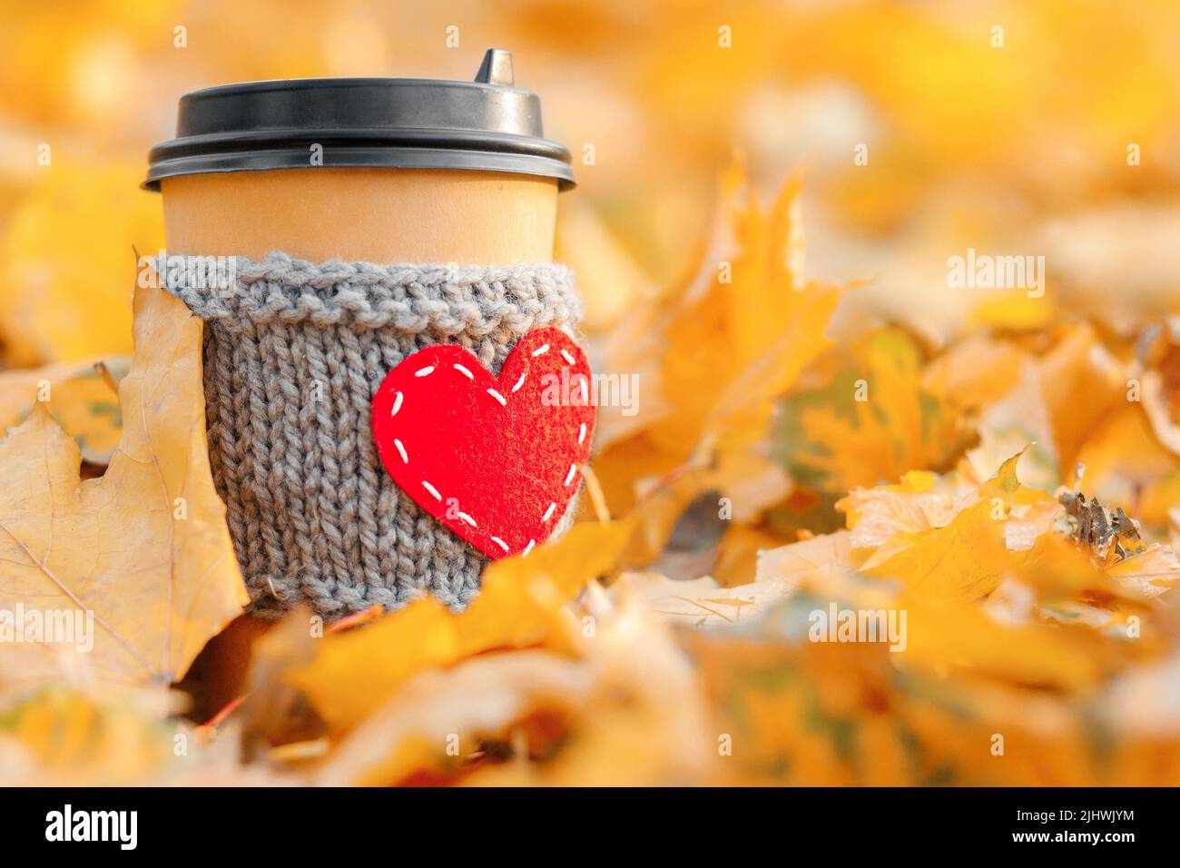 Carta caffè tazza accogliente in autunno foglie. Foto Stock