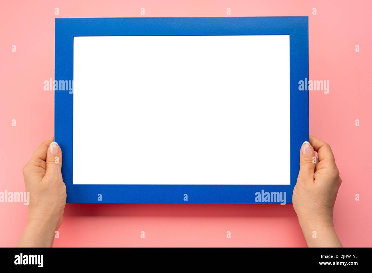 Telaio di supporto. Foto Mockup. Le mani della donna tengono la cornice blu. Per il design di cornici e poster. Dimensioni del telaio A4. Isolato su sfondo rosa. Vaso bianco Foto Stock