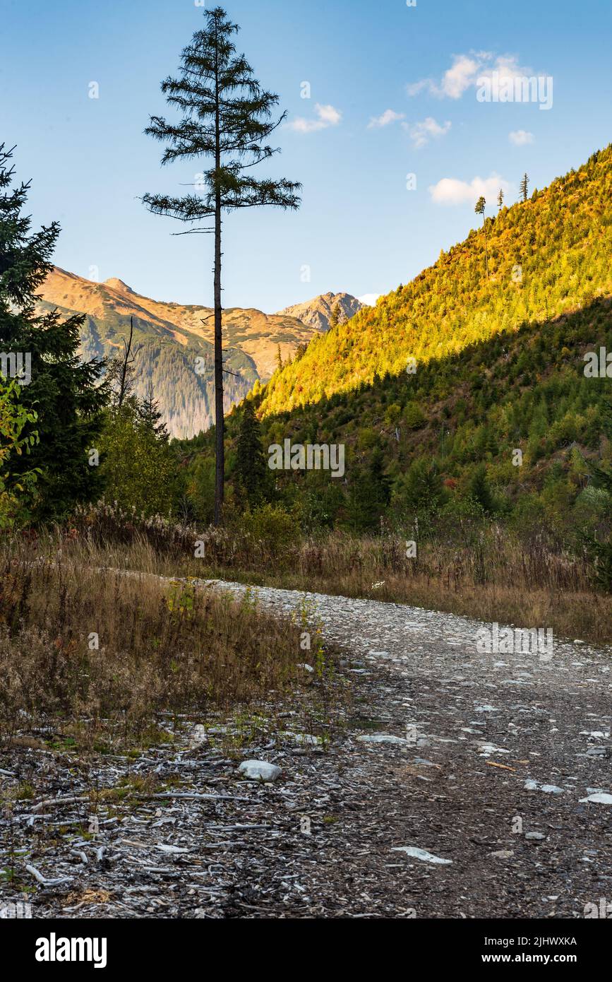 Jamnicka dolina valle con Otry Rohac montagna picco sullo sfondo in Tatra occidentale montagne in Slovacchia durante la bella giornata di autunno Foto Stock