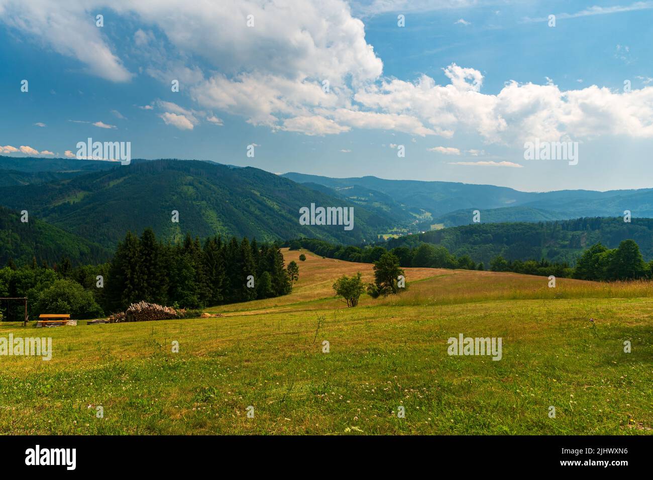 Valle Lomna con colline di Moravskoslezske Beskydy montagne sopra da meadoe nwar Chata Kamenity in Repubblica Ceca durante la bella giornata estiva Foto Stock
