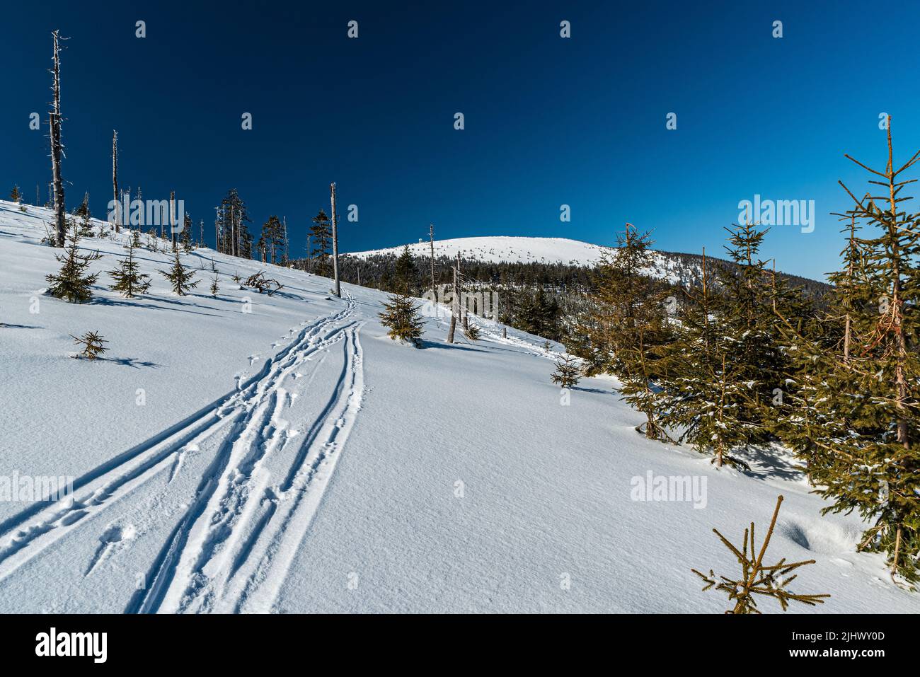 Inverno in montagna Kralicky Sneznik con la più alta collina Kralicky Sneznik sul ceco - confine polacco Foto Stock