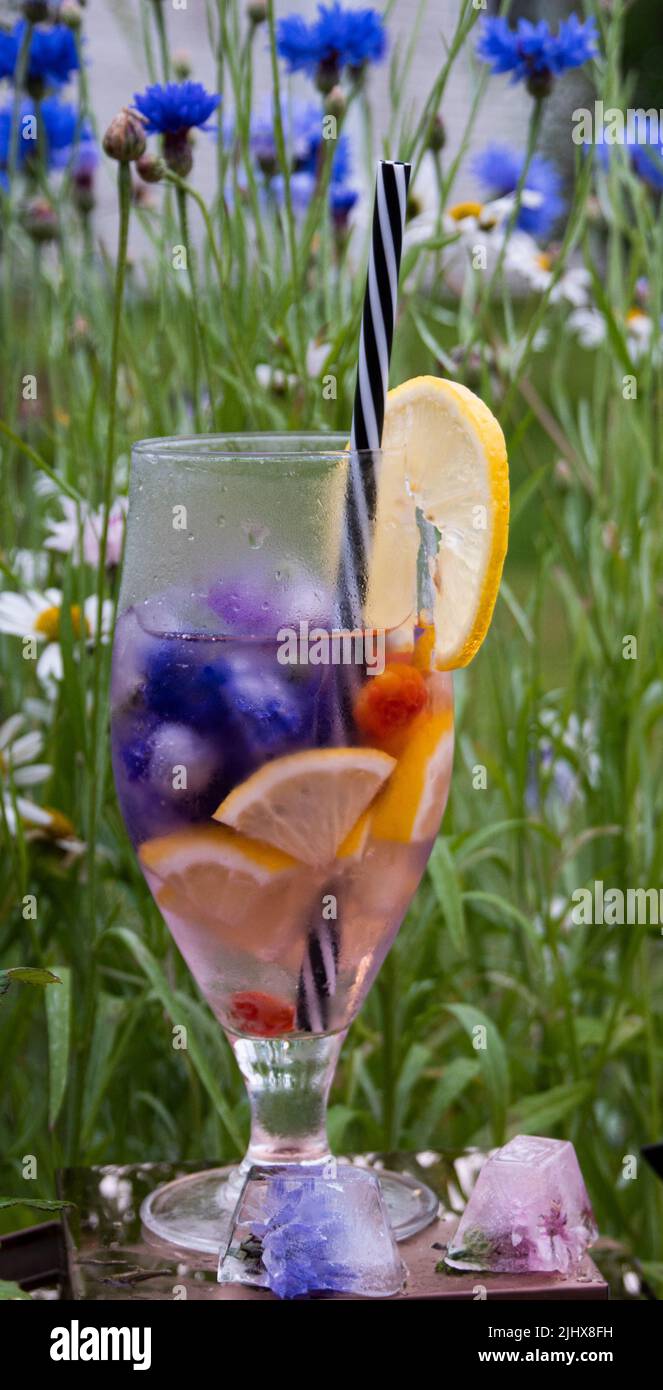 limonata di somma su fiori di mais di prato selvatico blu al mattino Foto Stock