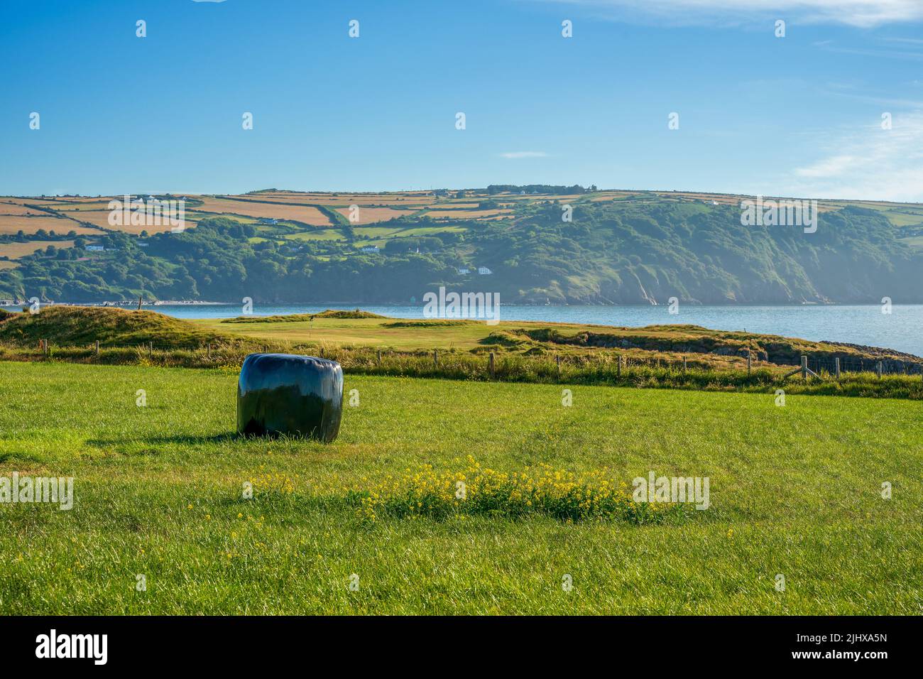 black shrink wrap balla coperta impermeabile di fieno su un campo costiero agricoltori Foto Stock