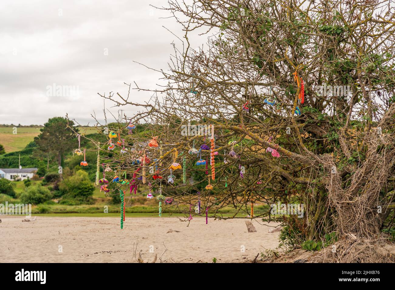 Arte della spiaggia creata da artigiani fatti a mano e appesi in alberi naturali sulla spiaggia Foto Stock