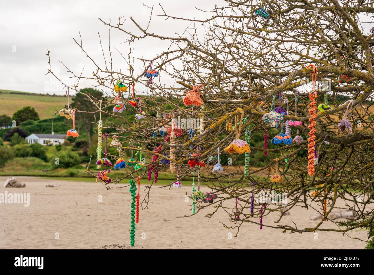 Primo piano dell'arte decorativa della spiaggia creata da artigiani fatti a mano e appesi in alberi naturali sulla spiaggia Foto Stock