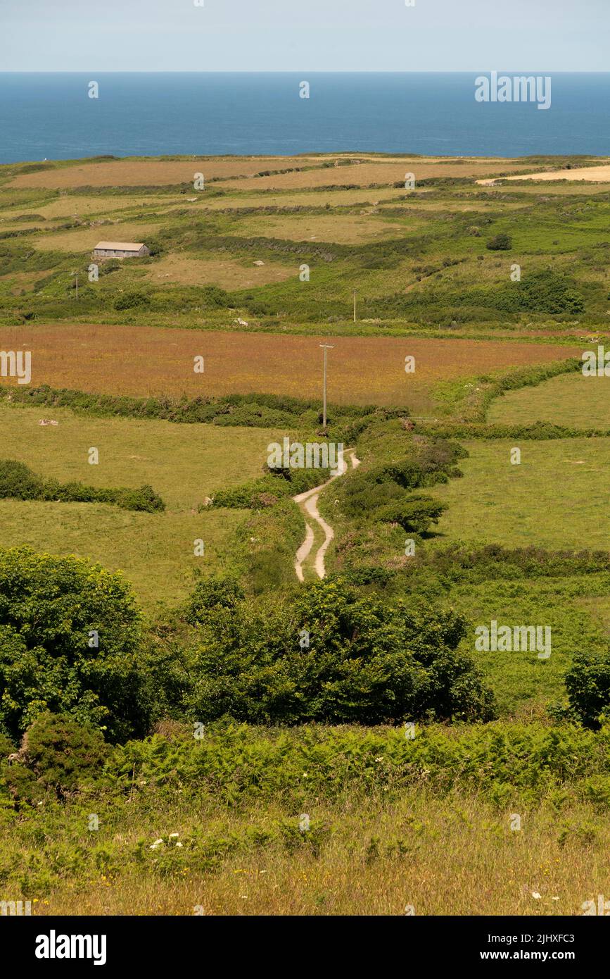 Cornwall, Regno Unito. 2022. Terreni agricoli costieri della Cornovaglia e una pista agricola che si dirige verso la costa. Foto Stock