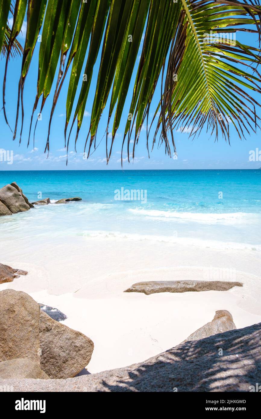 Spiaggia Seychelles Foto Stock