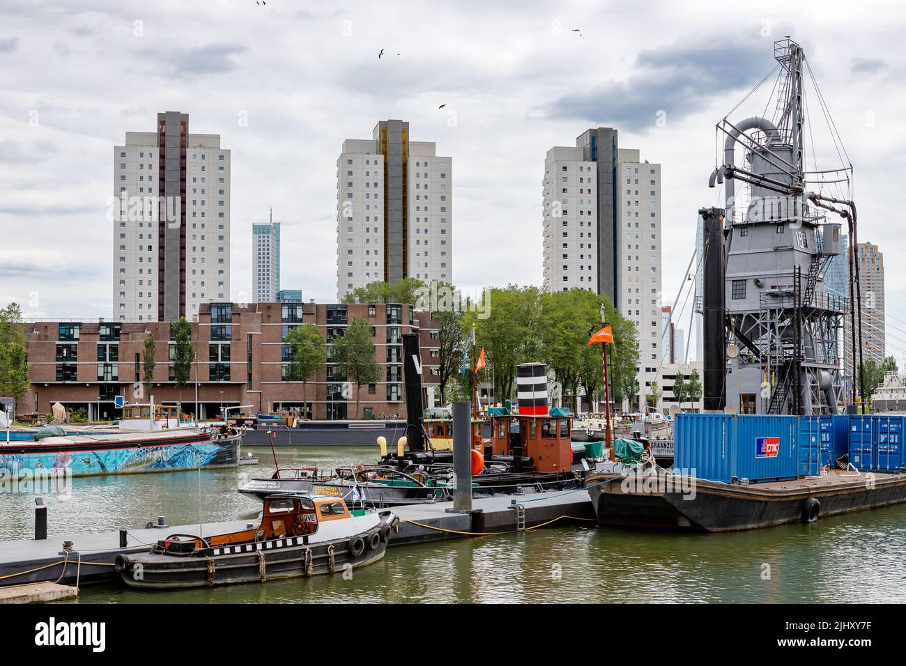 Vecchio Harbar Leuvehaven a Rotterdam, con sullo sfondo le torri residenziali Clipper, Galjoen e Schoener, Rotterdam, Paesi Bassi Foto Stock