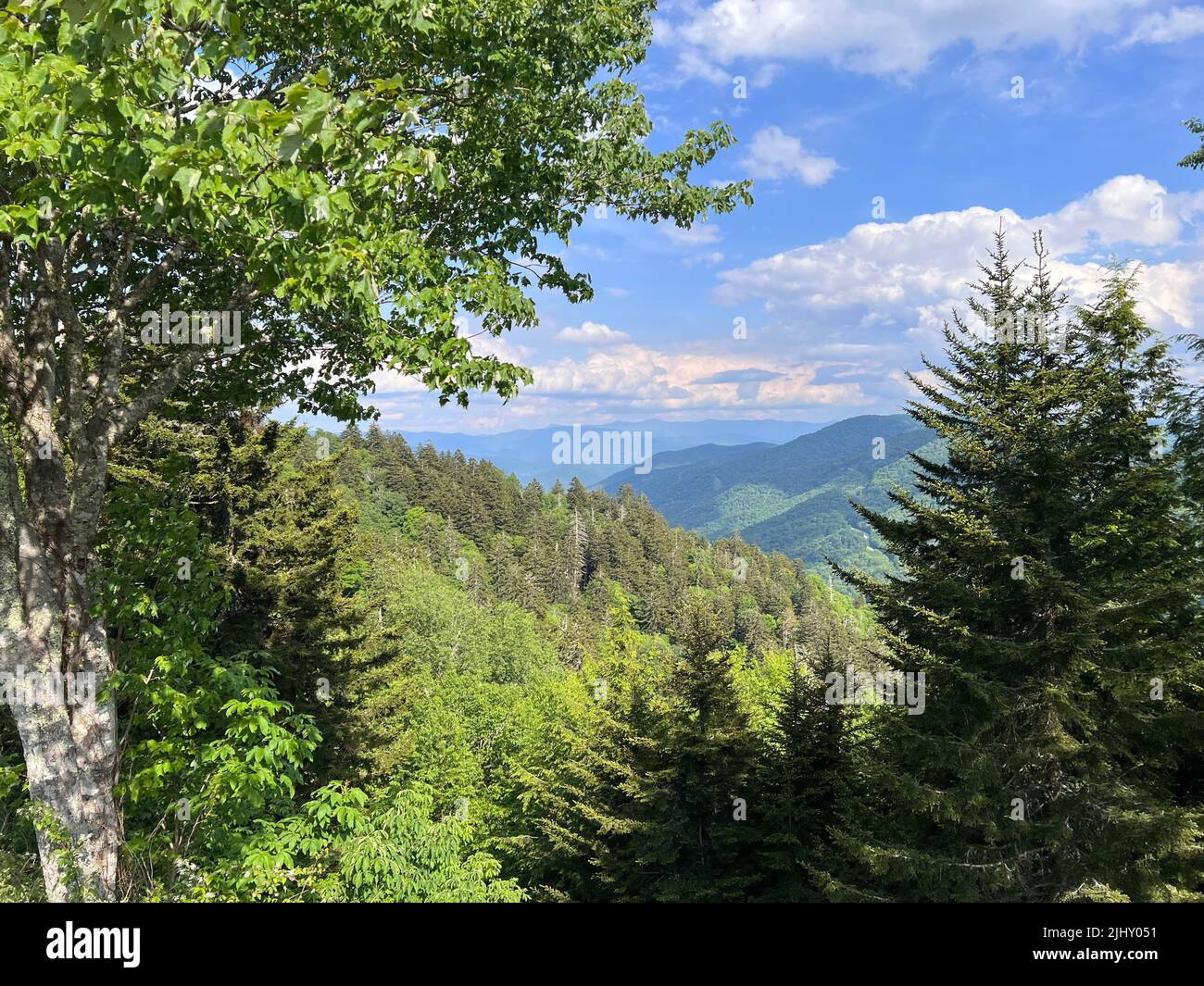 Una vista panoramica delle soleggiate Smokie Mountains, Tennessee, USA Foto Stock