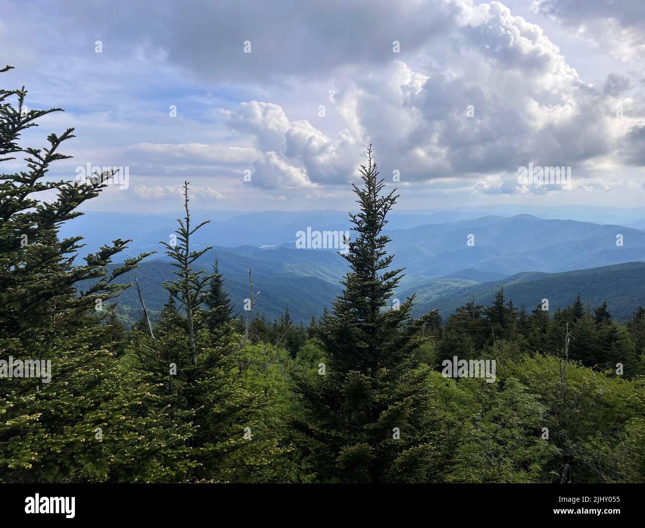 Una bella vista di abeti e Smokie Mountains, Tennesse sotto il cielo nuvoloso blu Foto Stock