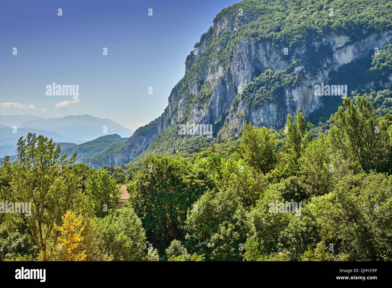 Verde vibrante con piante su una montagna in una campagna appartata. Tranquilla terra panoramica di colline ondulate. Erba verde e cespugli che crescono all'aperto Foto Stock