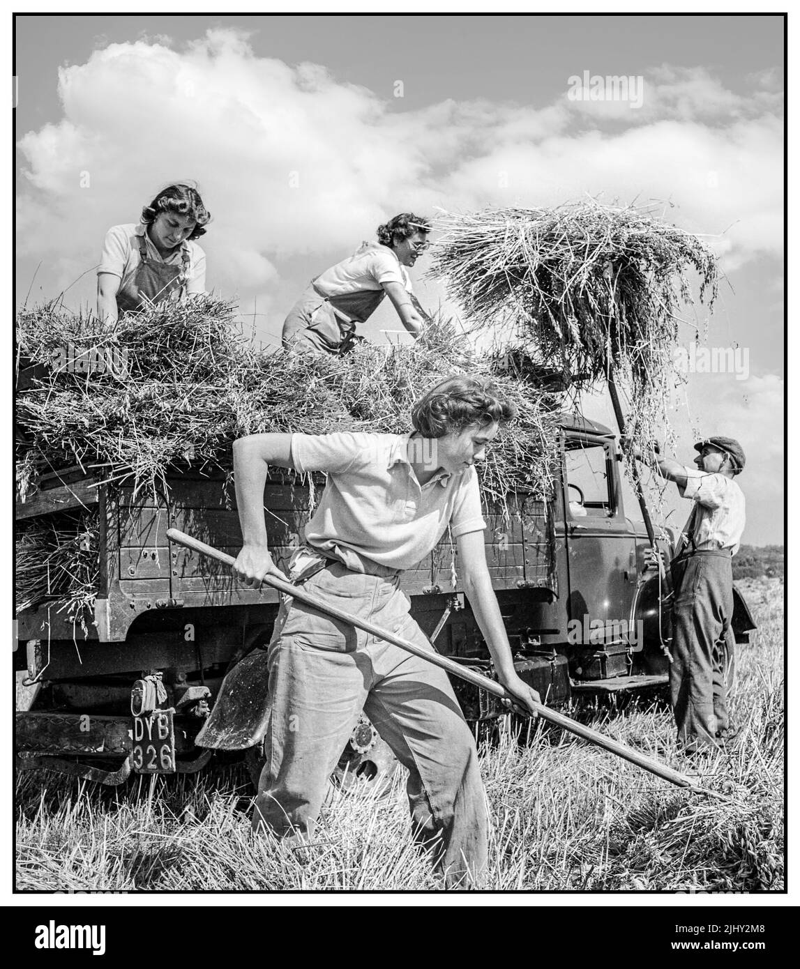 WW2 WOMENS LAND ARMY UK Food Production Harvesting a Mount Barton, Devon, Inghilterra, 1940s le Land Girls aiutano un agricoltore a caricare l'avena raccolta in un camion al sole a Hollow Moor, Devon.1942 Woman's Land Army. L'UCK ha lavorato alla fornitura di cibo durante la seconda guerra mondiale Foto Stock