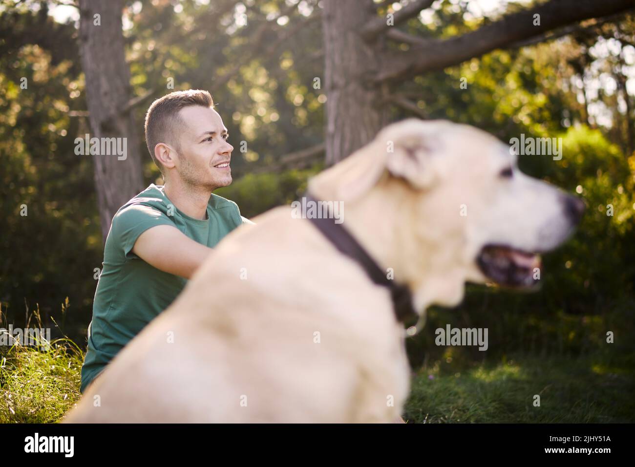Uomo con il suo cane seduto in erba sotto l'albero. Il proprietario di animali domestici è in viaggio con il suo labrador Retriever durante la giornata estiva soleggiata. Foto Stock