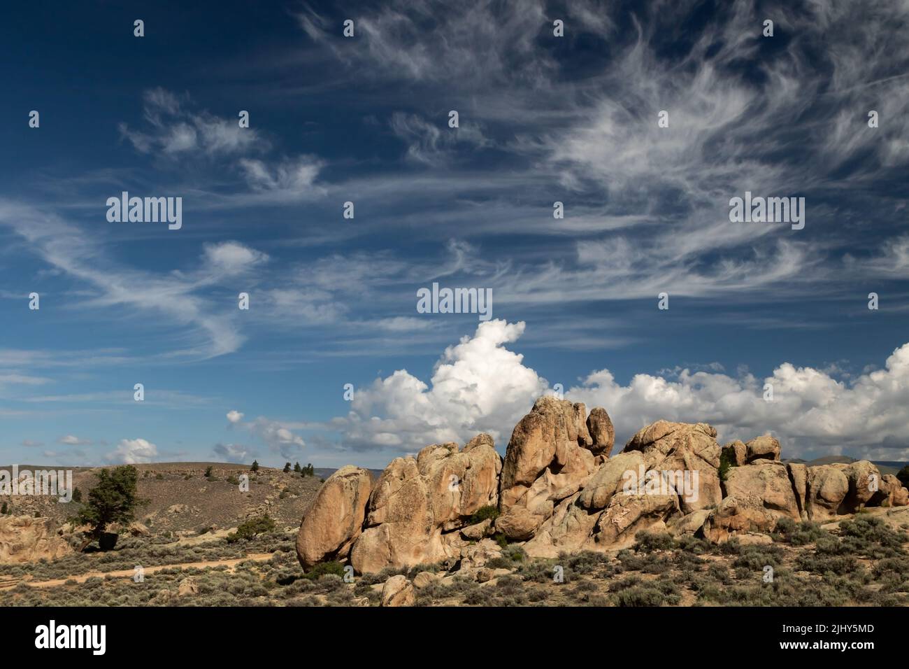 Visita la Hartman Rocks Recreation area, Gunnison, Colorado, USA, che comprende le nuvole di cirrus e cumulus congestus Foto Stock