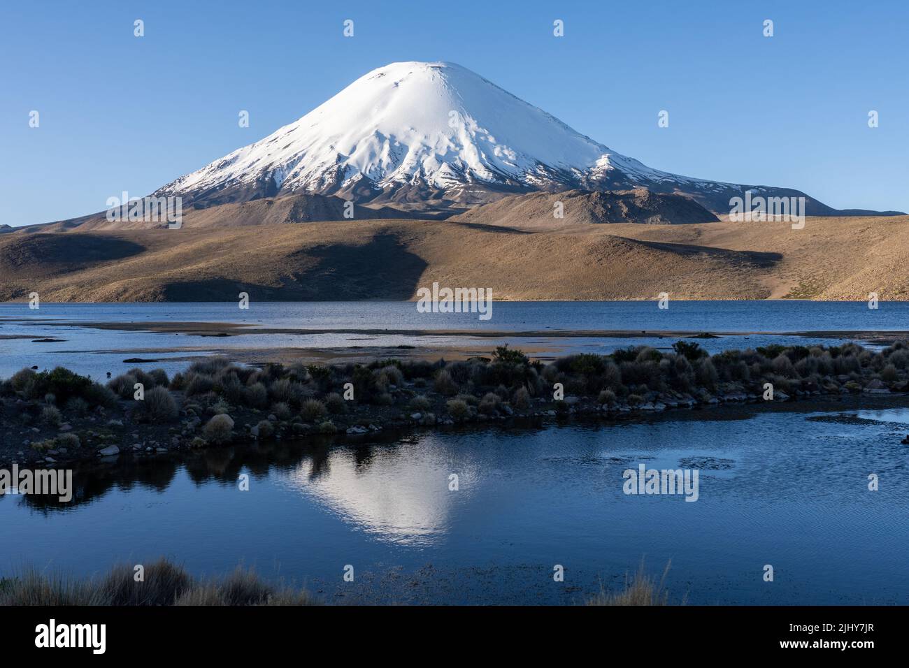 Vulcano Parinacota riflesso nel Lago Chungara nel Parco Nazionale Lauca sull'alto altiplano andino nel nord del Cile. Foto Stock