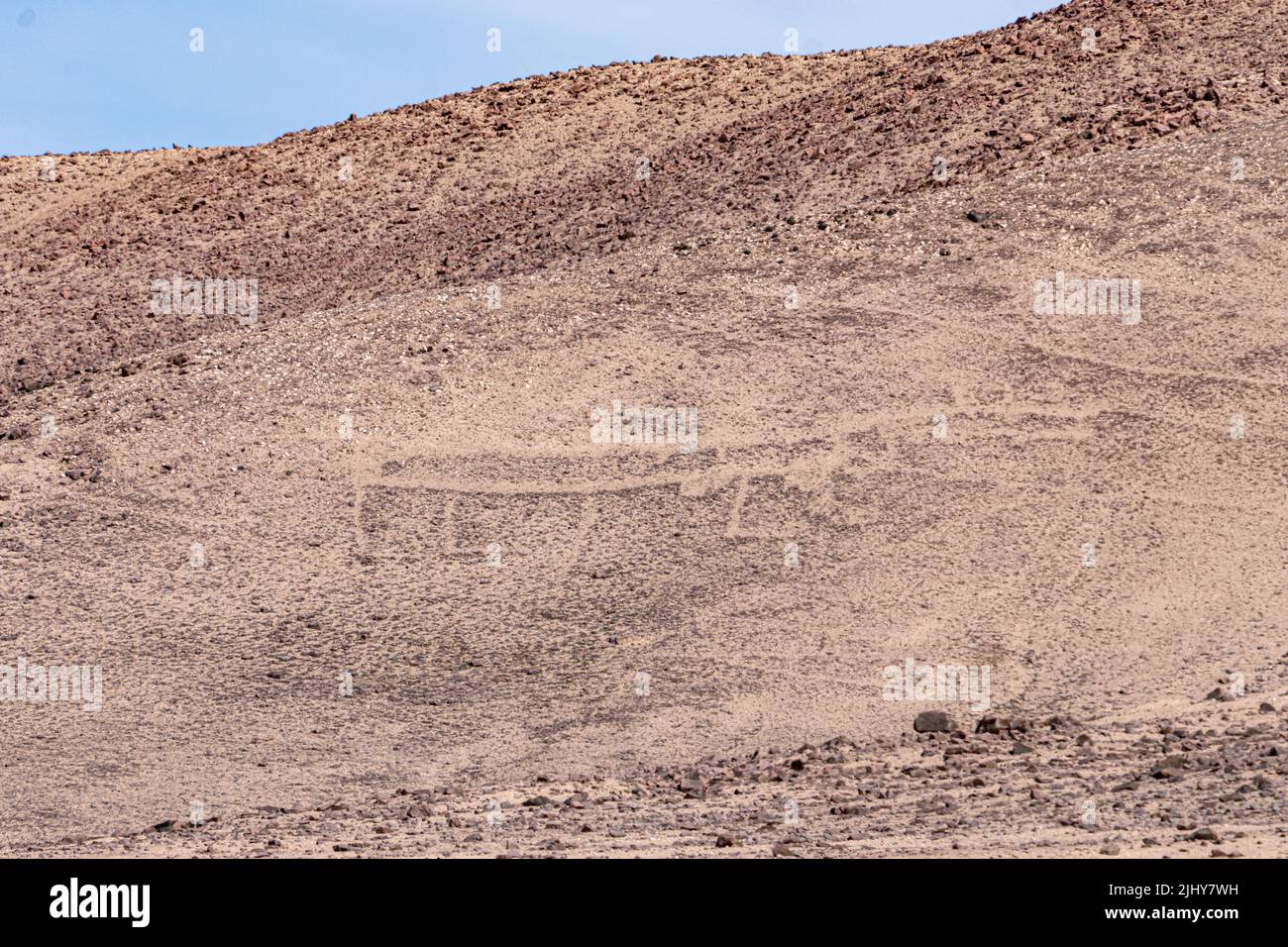 Figura di un cane o volpe presso il sito preistorico di geoglifi di Calartoco nel deserto di Atacama, Cile. Foto Stock