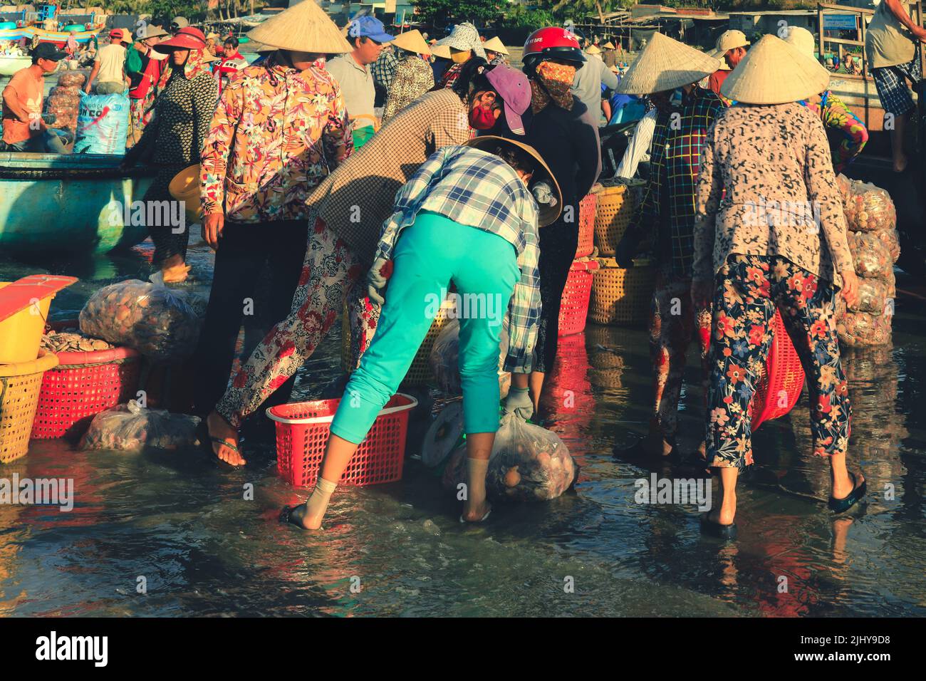 MUI ne Vietnam 22 gennaio 2019 : il venditore vietnamita compra un sacco di Scallops forma pescatori al villaggio di pescatori a Mui ne, Vietnam Foto Stock