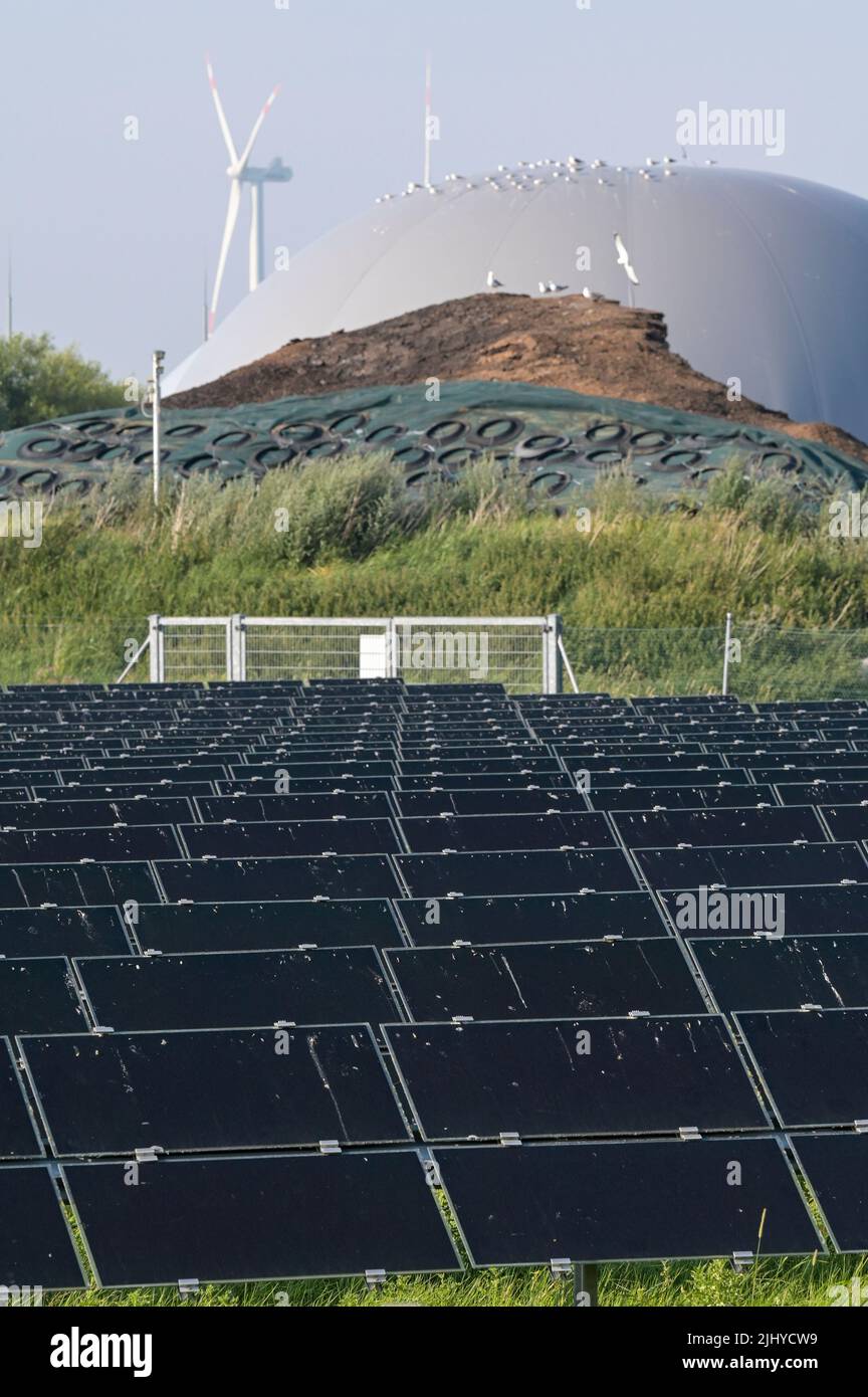 GERMANIA, impianto di Biogas e campo solare di GP Joule, dietro turbine eoliche / DEUTSCHLAND, Schleswig-Holstein, Reußenkoog, GP Joule Biogasanlage und Photovoltaik Anlage, Windkraftanlagen im Hintergrund Foto Stock