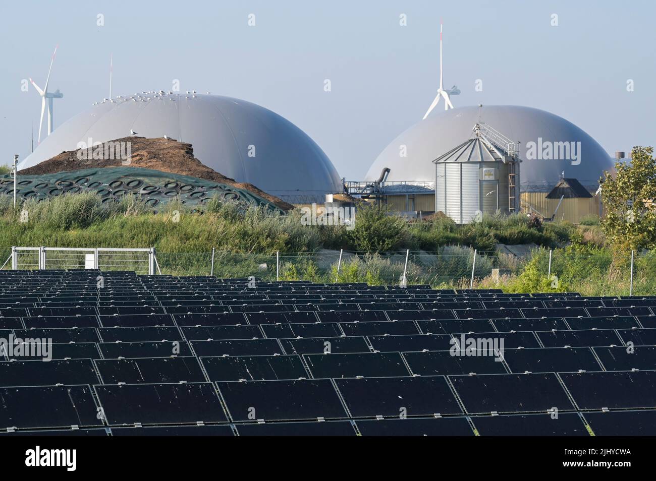 GERMANIA, impianto di Biogas e campo solare di GP Joule, dietro turbine eoliche / DEUTSCHLAND, Schleswig-Holstein, Reußenkoog, GP Joule Biogasanlage und Photovoltaik Anlage, Windkraftanlagen im Hintergrund Foto Stock