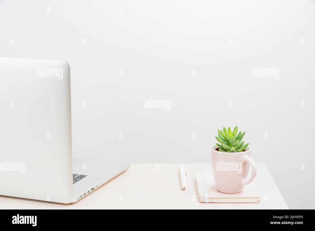 Un'area di lavoro ordinata con strumenti da scrivania, un impianto e un computer portatile con spazio per la copia Foto Stock