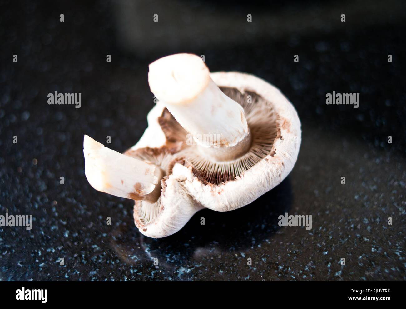 Funghi Siamesse Foto Stock