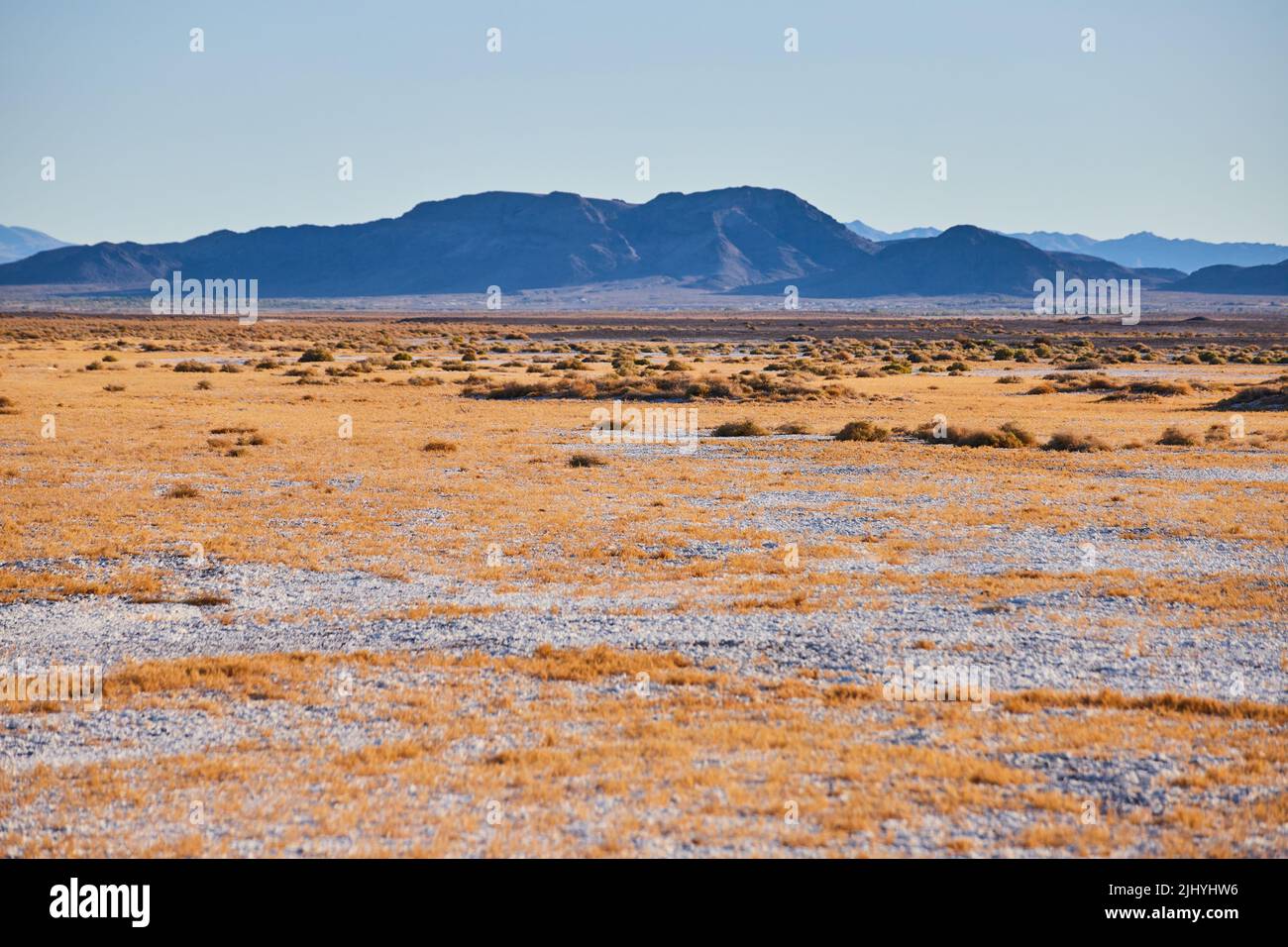 Sabbia bianca e pianure del deserto di erba gialla da montagne nere Foto Stock