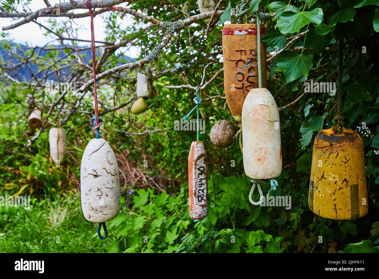 Varietà di decorazioni insolite della pallottola della schiuma appesa all'albero Foto Stock