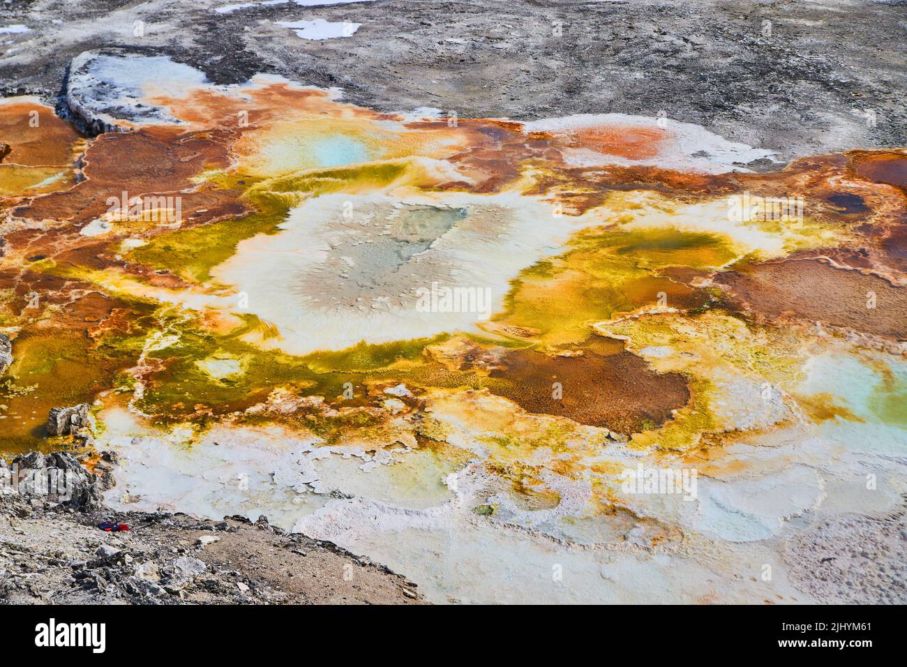 Sorgenti vibranti e colorate a Yellowstone Foto Stock