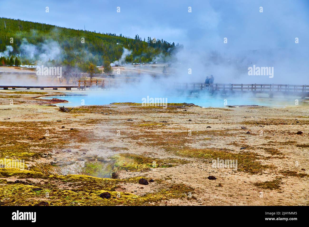 Onde di vapore di zolfo escono dalle piscine nel bacino di Yellowstone Biscuit Foto Stock