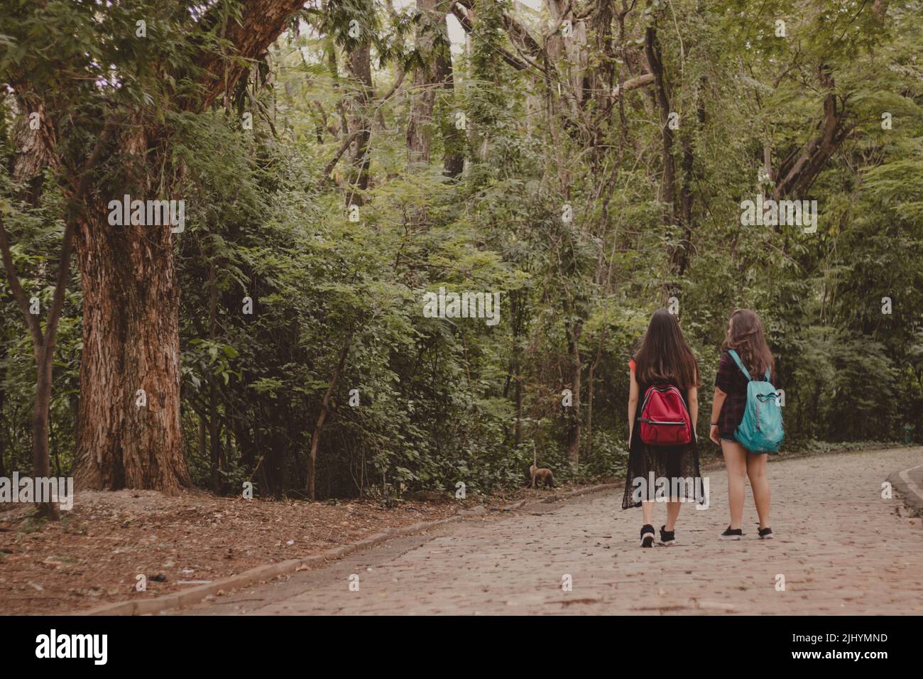 due amiche adolescenti che camminano nella natura con zaini Foto Stock