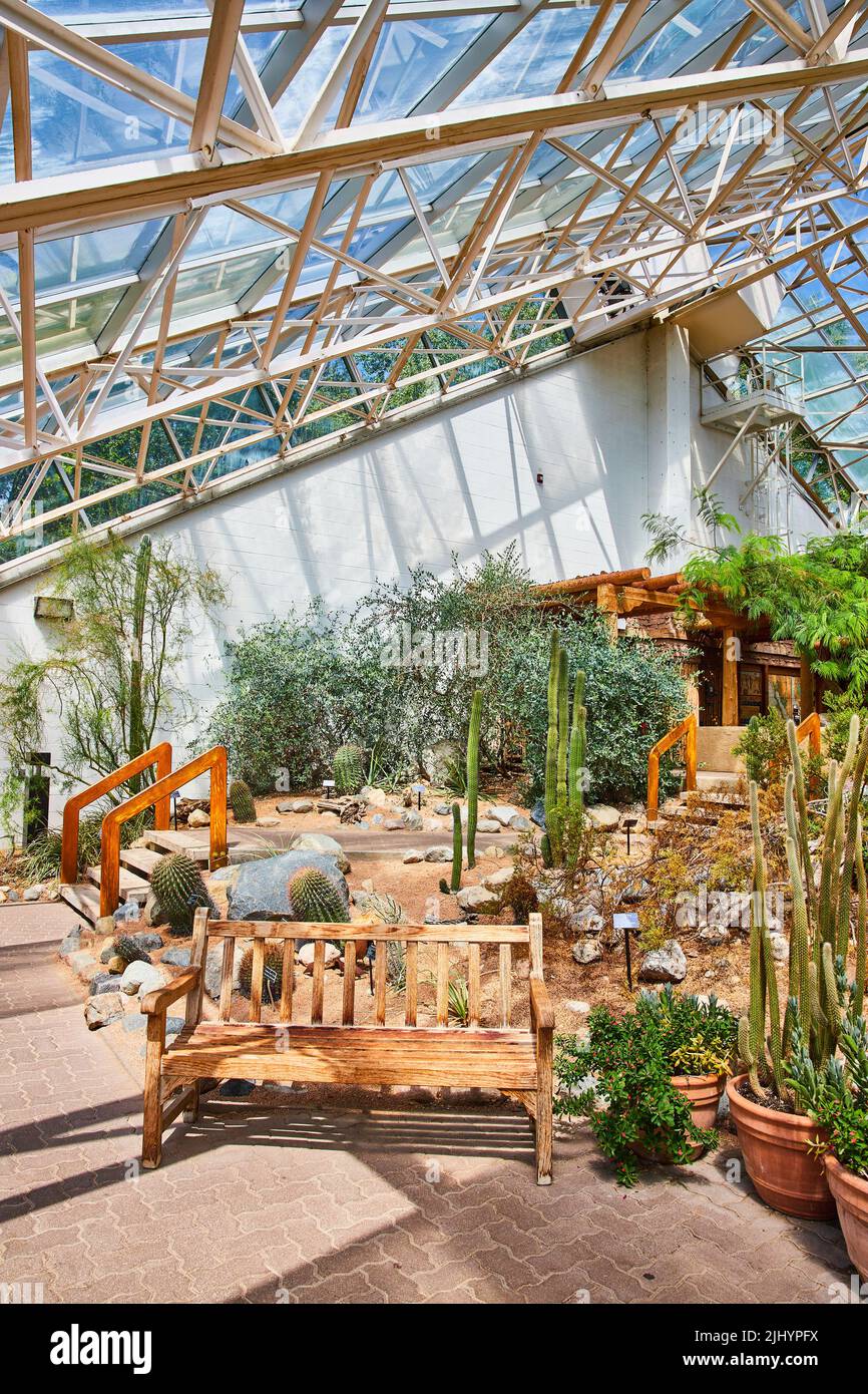 Serra di splendide piante di cactus con sentieri e panchine Foto Stock