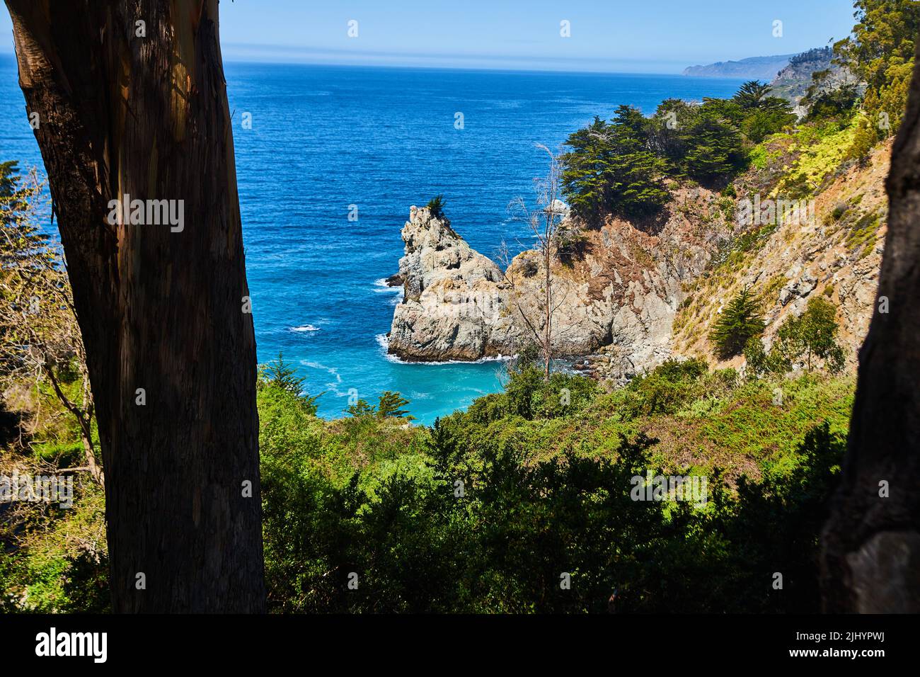 Vista attraverso gli alberi della penisola della costa dell'oceano con un grande pilastro di roccia Foto Stock