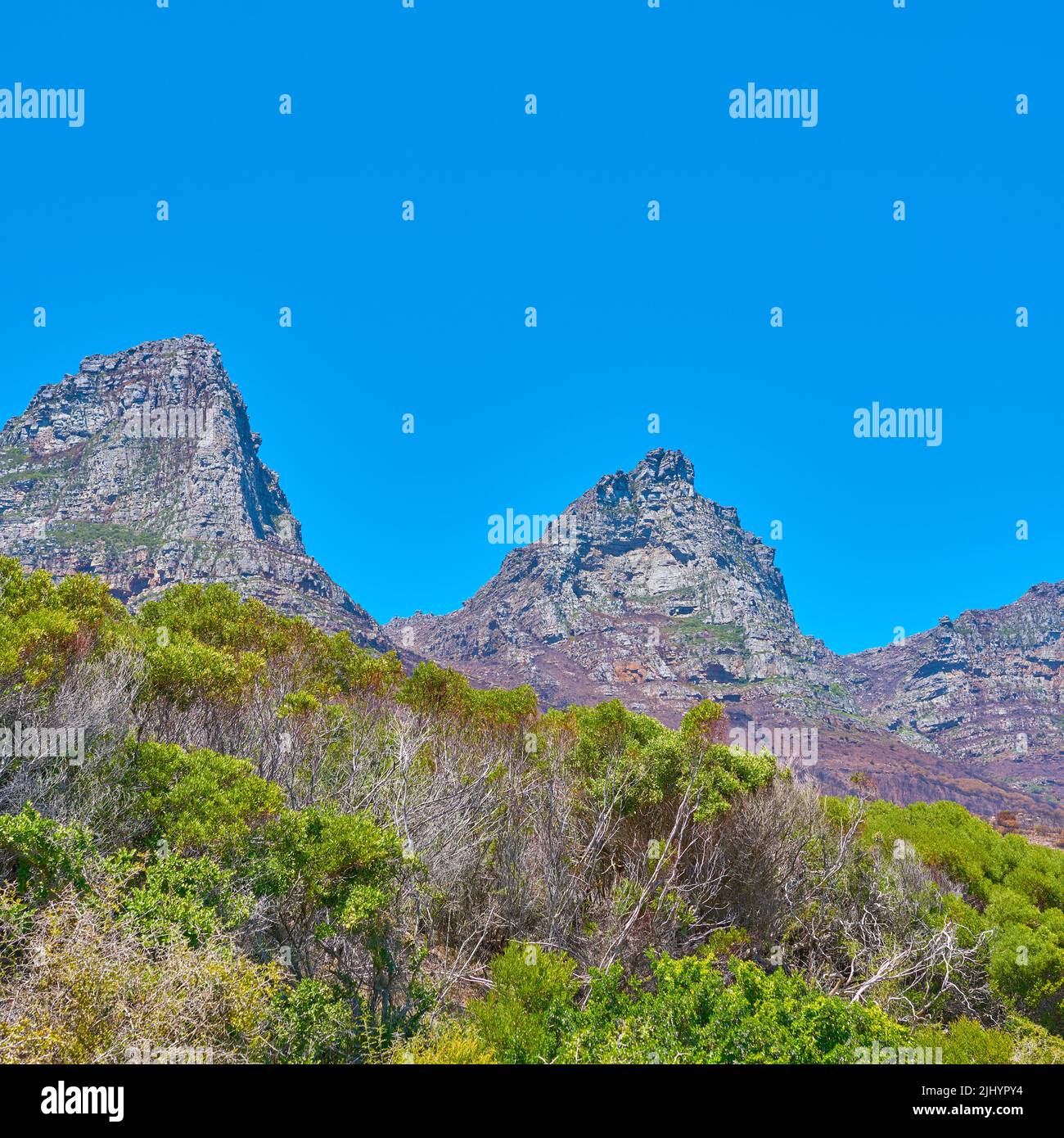 Famosa meta escursionistica di montagna con spazio copia, alberi verdi e boschi a Città del Capo, Sud Africa. Vista panoramica dei dodici Apostoli Foto Stock