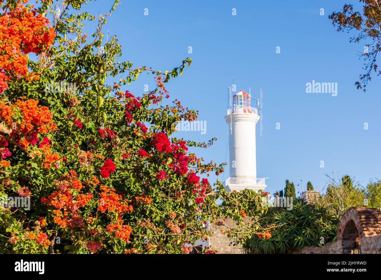 Una giornata autunnale soleggiata con fiori colorati e una vista sulla casa luminosa in Colonia del Sacramento, Uruguay. Foto Stock