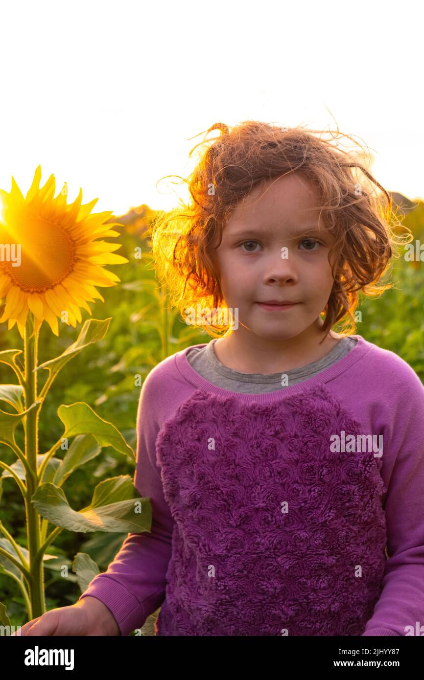 bambina di girasoli sullo sfondo del sole che tramonta. Foto Stock