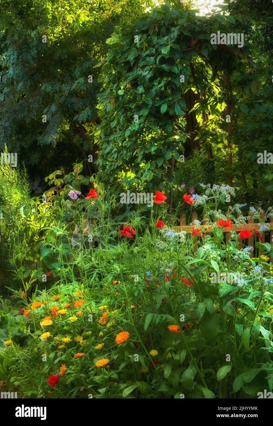 Sogni di giardino. Un giardino verde luminoso con fiori vivaci all'aperto in una giornata di primavera. Splendida vegetazione lussureggiante in un parco in una giornata estiva soleggiata. Colorato Foto Stock