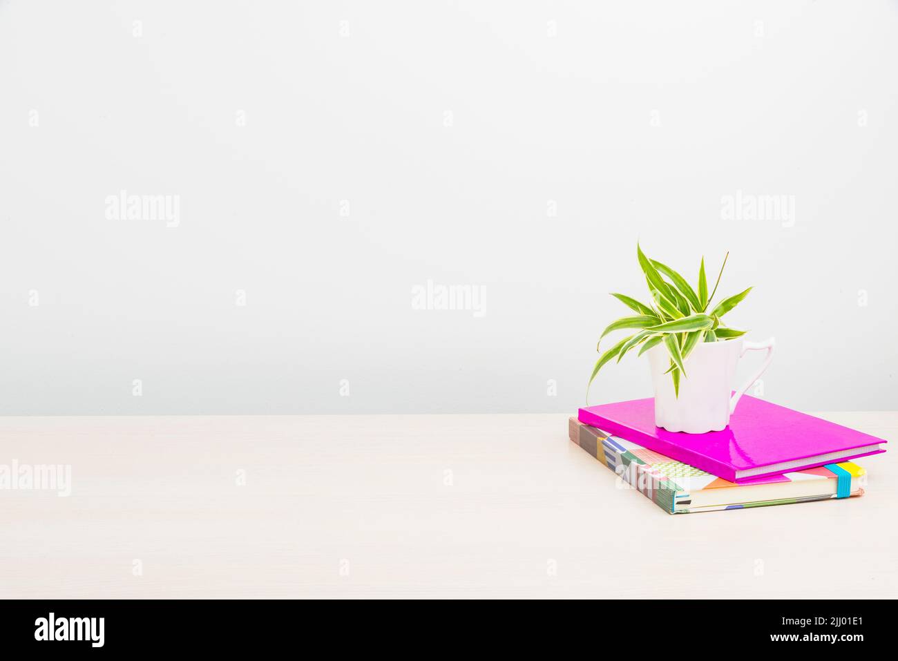Un ambiente di lavoro bianco e ordinato con notebook e un impianto Foto Stock