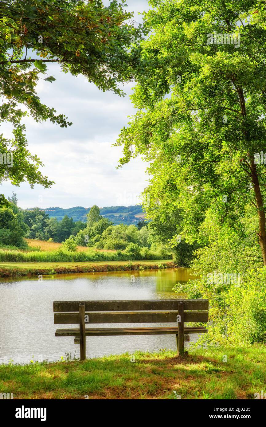 Panca parco con vista sul lago in campagna. Vista panoramica degli alberi e del verde su un fiume con una panca pubblica vuota in estate Foto Stock