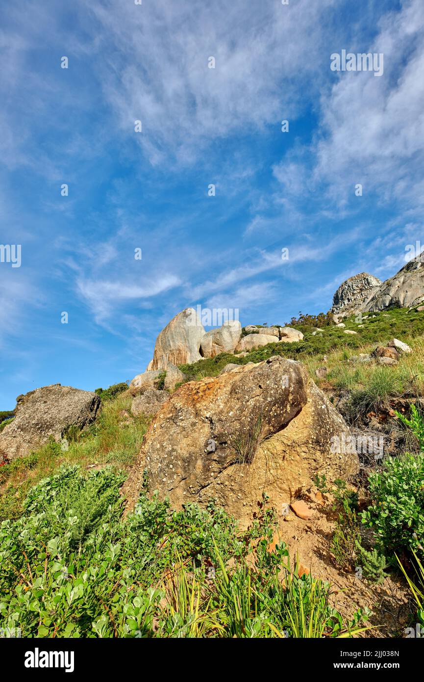 Piante e arbusti che crescono su un pendio roccioso di montagna contro un cielo blu nuvoloso sfondo con spazio copia da sotto. Angolo basso di paesaggio panoramico di Foto Stock