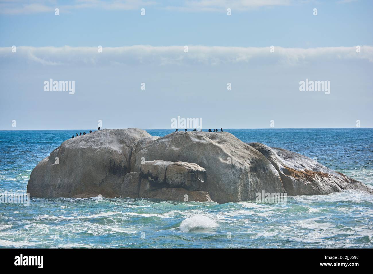 Vista oceano di uccelli seduti su un masso o roccia in mare a Camps Bay, Città del Capo in Sud Africa. Rilassante e tranquilla vista del paesaggio del mare e. Foto Stock