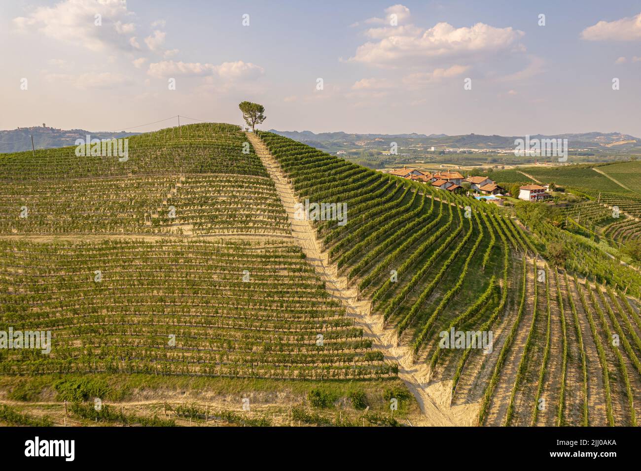 Splendide colline e vigneti che circondano il villaggio di la Morra nella regione delle Langhe. Cuneo, Piemonte, Italia Foto Stock