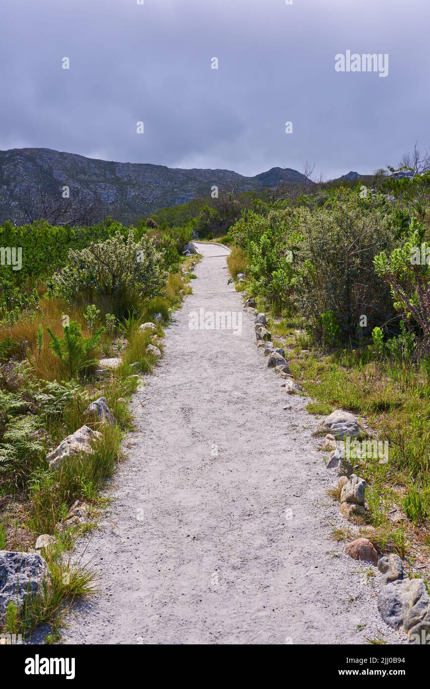 Un percorso in un parco naturale e di conservazione delle piante in un pomeriggio coperto. Bellissimo paesaggio di un sentiero o sentiero all'aperto attraverso il verde lussureggiante Foto Stock Un percorso in un parco naturale e di conservazione delle piante in un pomeriggio coperto. Bellissimo paesaggio di un sentiero o sentiero all'aperto attraverso il verde lussureggiante Foto Stock