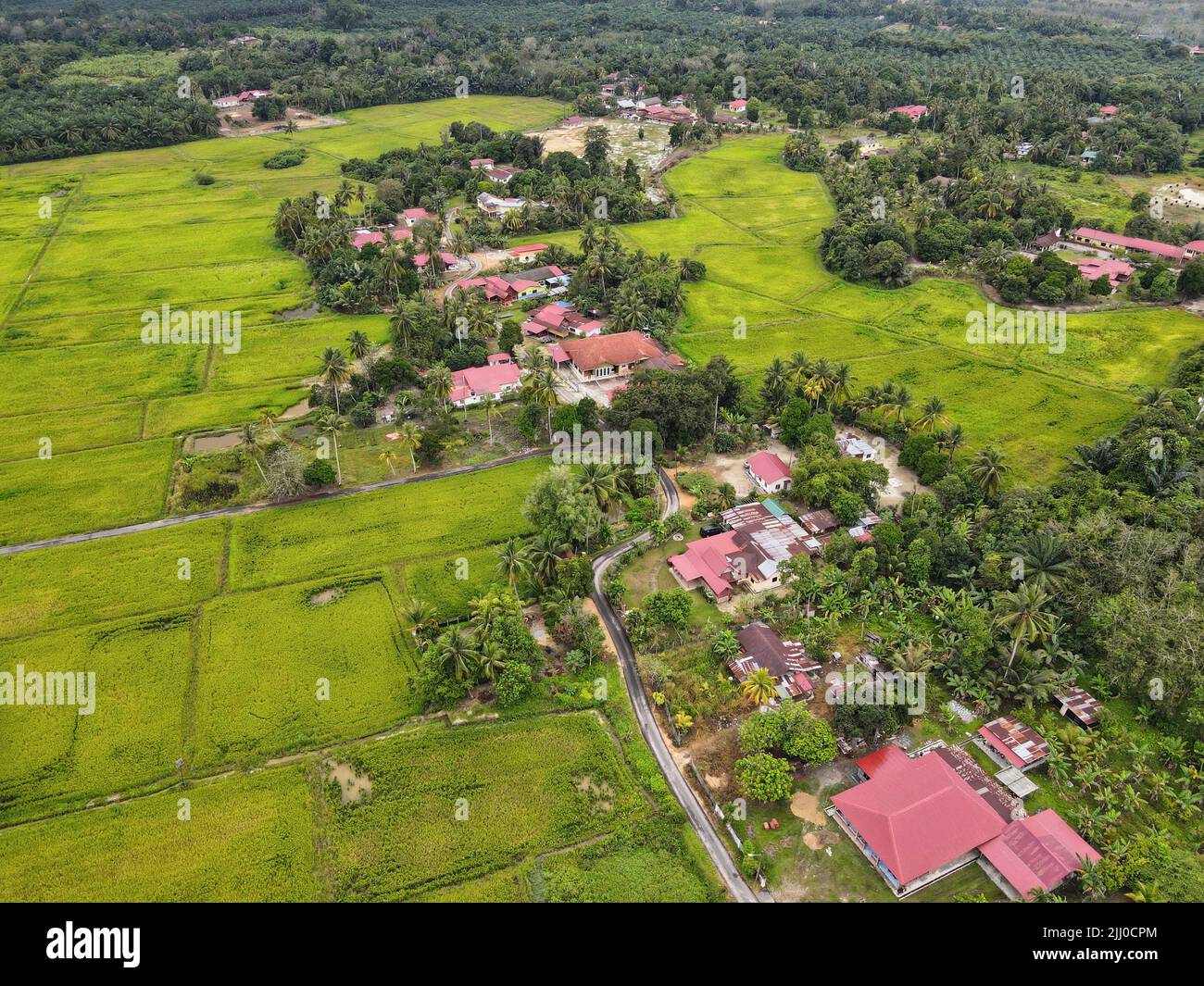 Vista con droni dei campi di padi durante la stagione di piantagione in un villaggio. Foto Stock