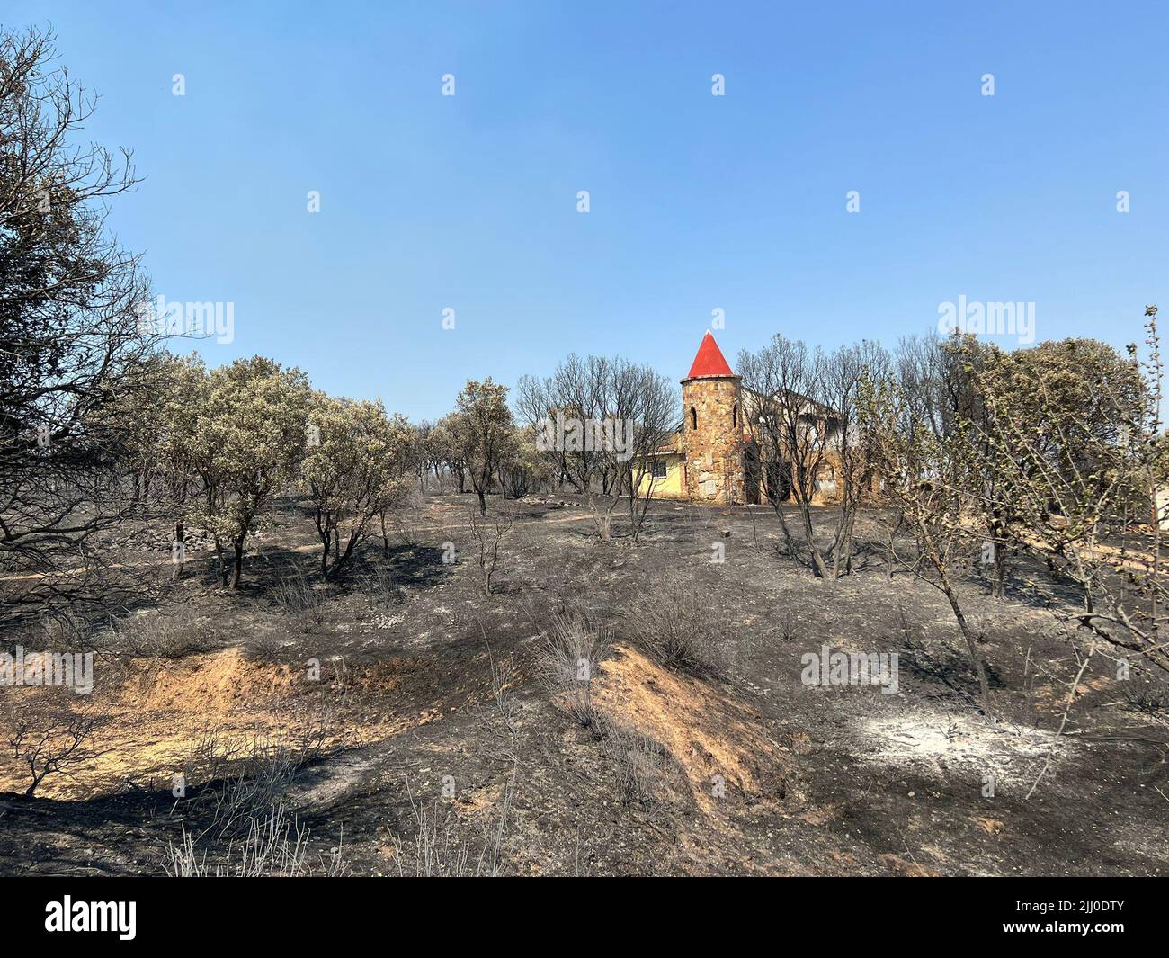 (220721) -- LOSACIO (SPAGNA), 21 luglio 2022 (Xinhua) -- Foto scattata il 20 luglio 2022 mostra un'area bruciata in un fuoco selvaggio a Losacio, Castilla y Leon, Spagna. In Spagna, l'ondata di caldo ha portato il rischio di incendi boschivi a livelli 'estremi' e 'molto alti' in quasi tutte le parti del paese. La Spagna ha subito oltre 250 incendi boschivi nel 2022, che hanno bruciato oltre 90.000 ettari di terreno, superando le perdite registrate nel 2021. (Junta de Castilla y Leon/Handout via Xinhua) Foto Stock
